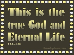 1 John 5:20